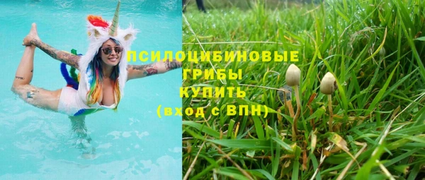 прущая мука Гатчина