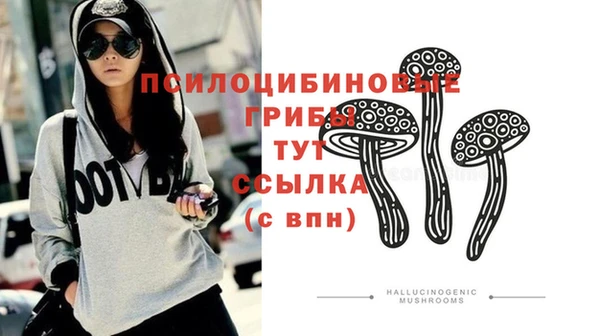 jwh Гвардейск