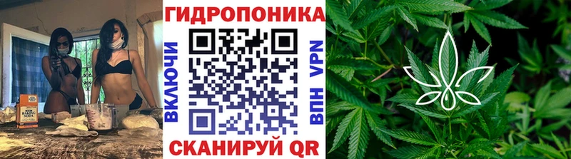Шишки марихуана White Widow  Елец 